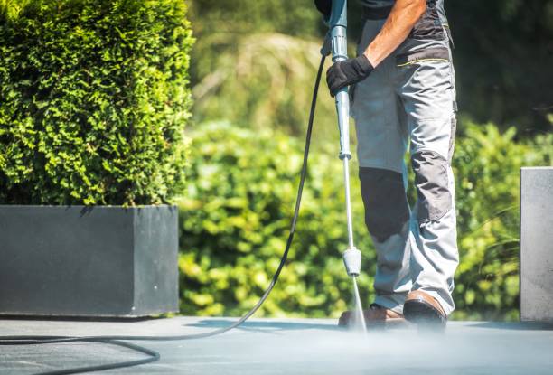 Best Sidewalk and Walkway Pressure Cleaning in Madison, MN