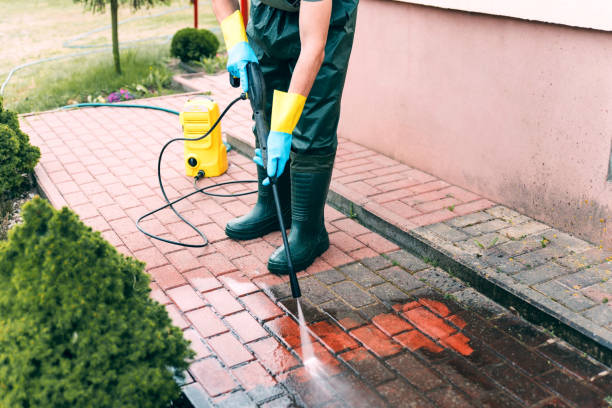 Best Window and Screen Pressure Cleaning in Madison, MN